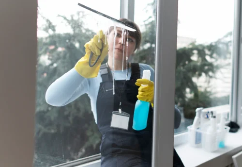 Nettoyage de vitres intérieures et extérieures à la Remaudière